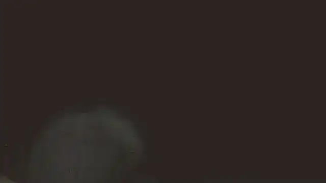 pietje1991 online show from 05-16-26, 11:36
