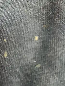 Narckse online show from 09-15-25, 07:30