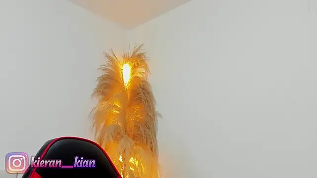 Kieran kian online show from 04-19-26, 03:55