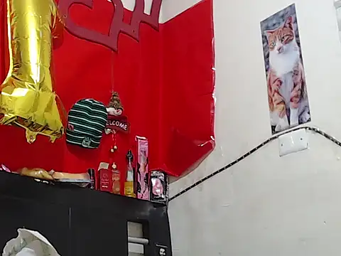 Npga96 online show from 02-20-26, 06:59