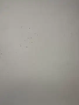 Snapshot of vincentjaxon chatting on 11-27-25, 07:05 vincentjaxon online show from 11-27-25, 07:05