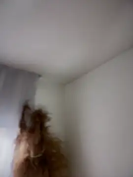 Sofi Leal online show from 03-05-26, 12:12