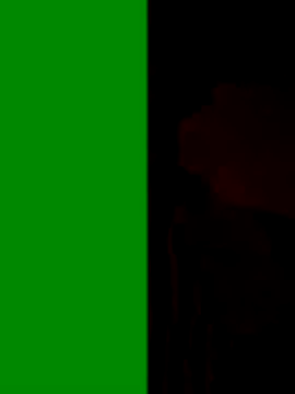 Snapshot of Devi-with-Ram chatting on 09-20-25, 06:58 Devi-with-Ram online show from 09-20-25, 06:58