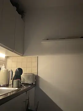 Michel huge online show from 04-21-26, 03:02