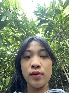 Phayphay77 online show from 11-25-25, 01:05