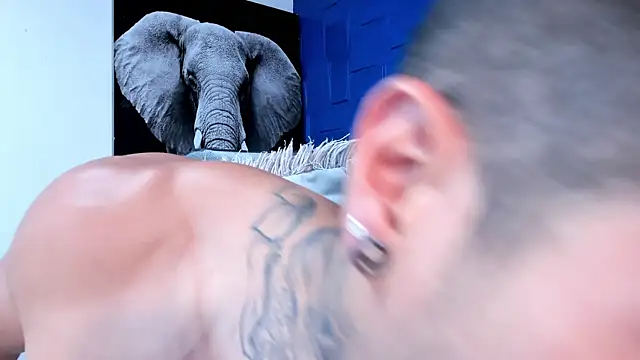 andres-clark92 online show from 11-04-25, 06:07