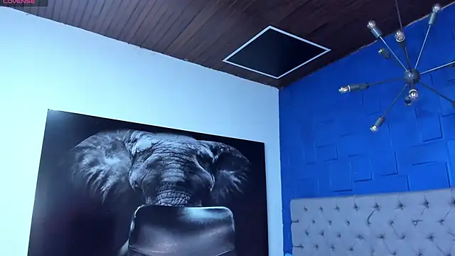 andres-clark92 online show from 03-06-26, 03:19