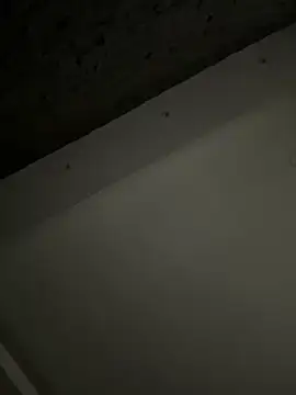 ALANNFERRER online show from 10-04-25, 09:40