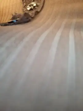 Snapshot of Sandiq99six chatting on 11-07-25, 11:05 Sandiq99six online show from 11-07-25, 11:05