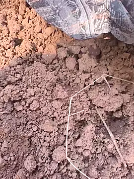 Hot raaani online show from 11-07-25, 06:13