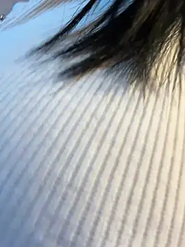 TriumphLove online show from 04-18-26, 06:39