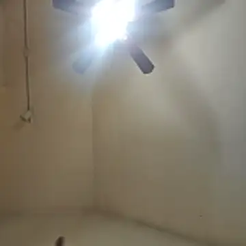 Snapshot of Tclarke93 chatting on 11-12-25, 05:52 Tclarke93 online show from 11-12-25, 05:52