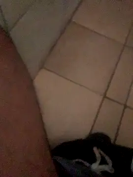 Lushen704 online show from 10-29-25, 06:15