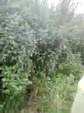 phlin1 online show from 07-23-26, 03:04