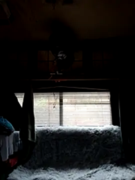 ShawnandDani7074 online show from 02-22-26, 01:53