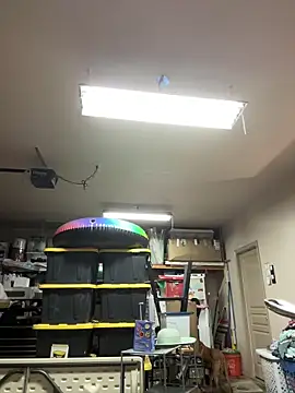 petalsexy online show from 09-25-25, 05:38