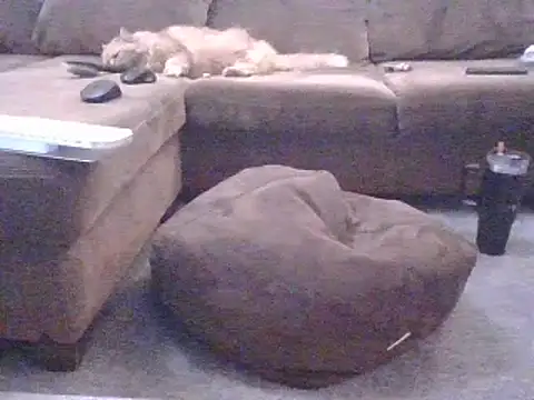 Jassonishorny online show from 03-08-26, 07:28