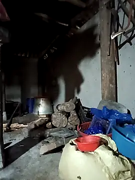 Snapshot of Exembin chatting on 09-17-25, 03:08 Exembin online show from 09-17-25, 03:08