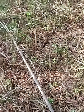 sonotutto online show from 10-11-25, 08:02