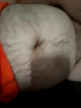 fatchubbynurse online show from 09-08-25, 04:17