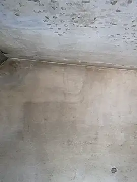 Sgaf39 online show from 09-26-25, 09:13