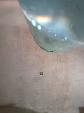 Sgaf39 online show from 10-06-25, 06:27