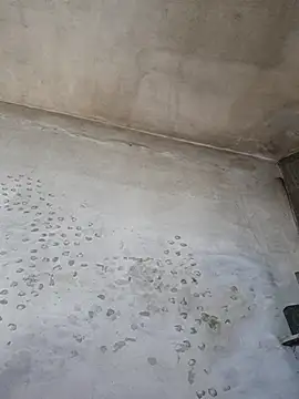 Sgaf39 online show from 10-20-25, 09:15