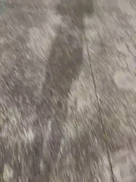 Snapshot of Foxfoxfox4 chatting on 11-28-25, 01:03 Foxfoxfox4 online show from 11-28-25, 01:03