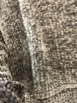 sunset24 online show from 10-13-25, 08:58