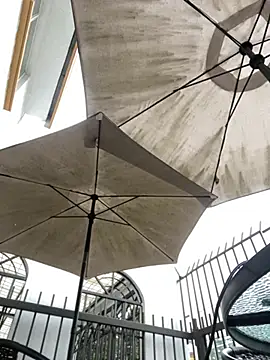 Sallem Pink online show from 03-31-26, 11:10