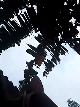 Snapshot of optra34 chatting on 10-22-25, 11:37 optra34 online show from 10-22-25, 11:37