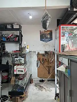 Terra-22cm online show from 10-25-25, 03:07