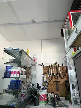 Terra-22cm online show from 04-22-26, 01:23