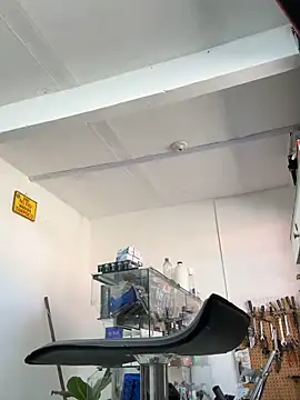 Terra-22cm online show from 04-25-26, 01:41