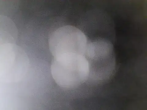 Asian PrettyAle online show from 02-21-26, 01:39