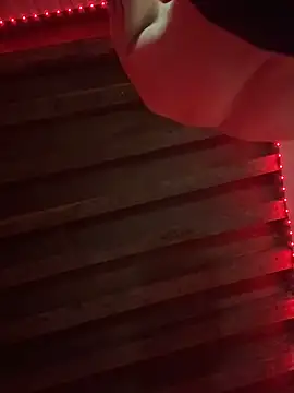 stripadlo online show from 11-15-25, 04:14