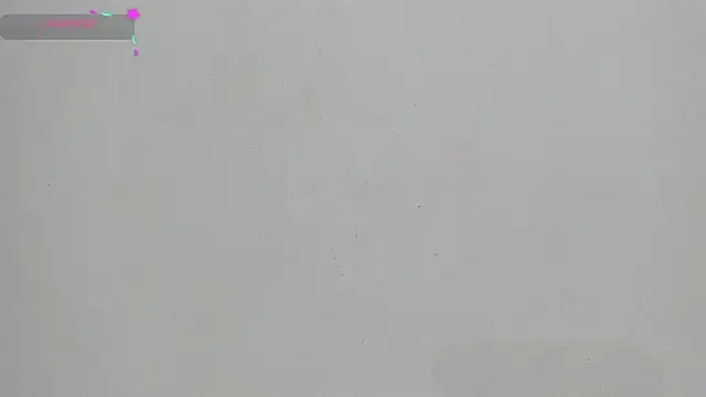 FluffyMelons online show from 01-17-26, 12:04