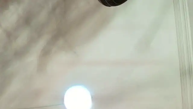 Dixie grey1 online show from 09-13-25, 01:33