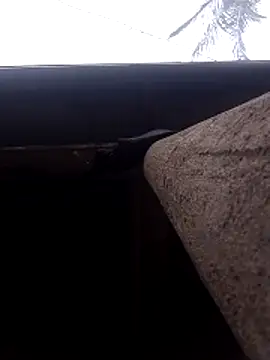 Snapshot of lady_helen00 chatting on 11-15-25, 06:55 lady helen00 online show from 11-15-25, 06:55