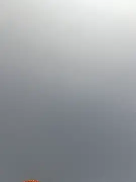 Cut rajbati online show from 11-29-25, 06:16