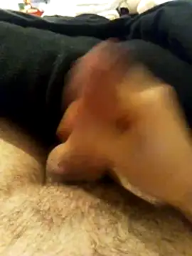 chrisdic27 online show from 03-08-26, 05:44