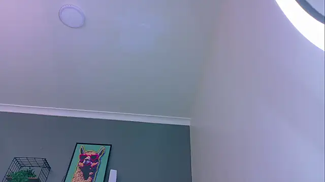 Snapshot of MrFox__ chatting on 05-16-26, 08:29 MrFox online show from 05-16-26, 08:29