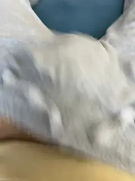 Frankieyyy1 online show from 03-15-26, 07:58