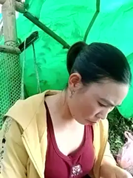 cicnci online show from 11-05-25, 01:38