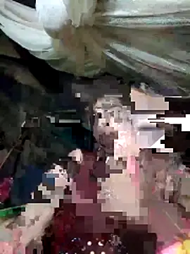 cicnci online show from 11-08-25, 10:26