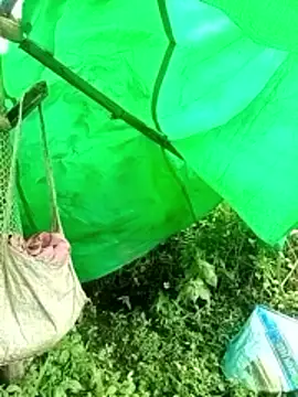 cicnci online show from 11-09-25, 02:32