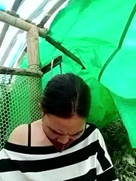 cicnci online show from 11-12-25, 03:07