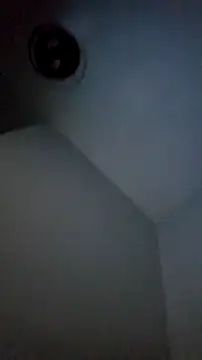 Bulbasaurisme online show from 10-19-25, 07:09