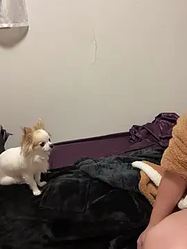 h415a812 online show from 11-04-25, 07:35