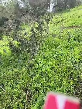 Yasar-Xxxl online show from 03-06-26, 03:52